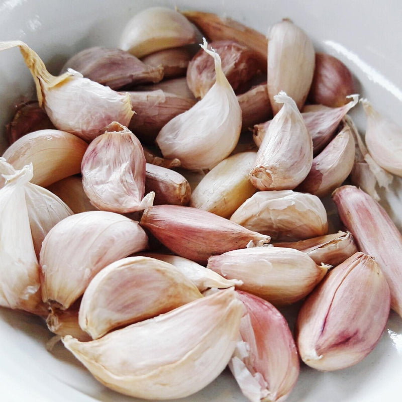 Anpflanzung clove garlic samen for flavorful spice blume