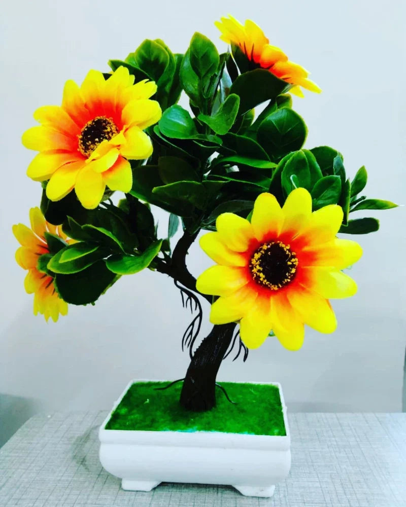 Sunflower bonsai anpflanzung blume samen schwarz