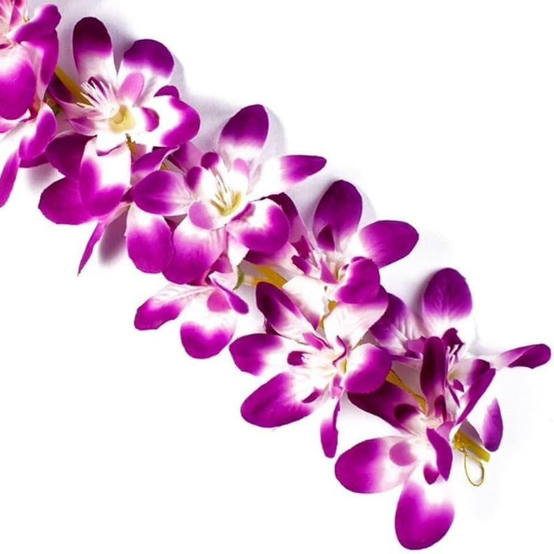 Semillas de orquídea mariposa violeta para sembrar, tolerantes a la sequía, variedad tradicional y sin ingeniería genética, semillas para el jardín doméstico