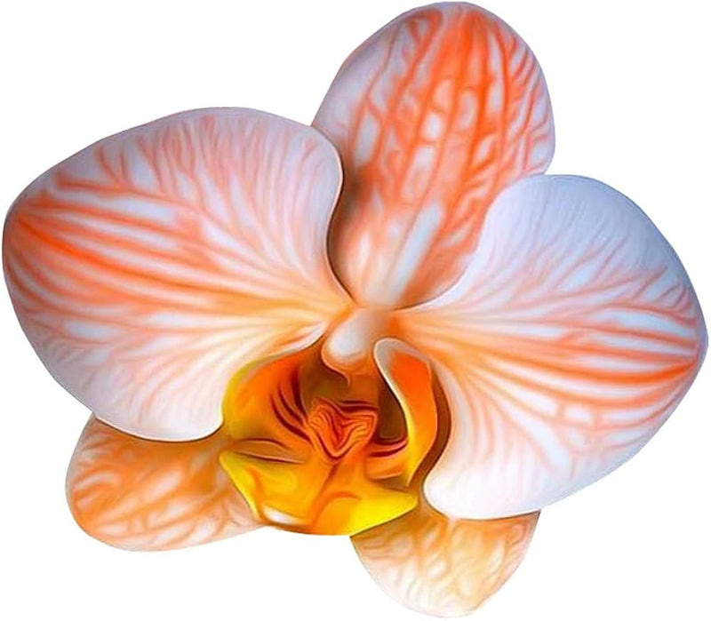 Semillas de orquídea naranja y blanca, popular en jardines, variedad tradicional y sin OMG, semillas para el jardín doméstico