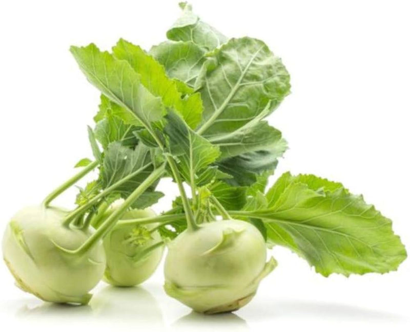 Semillas de colinabo blanco para plantar en el jardín