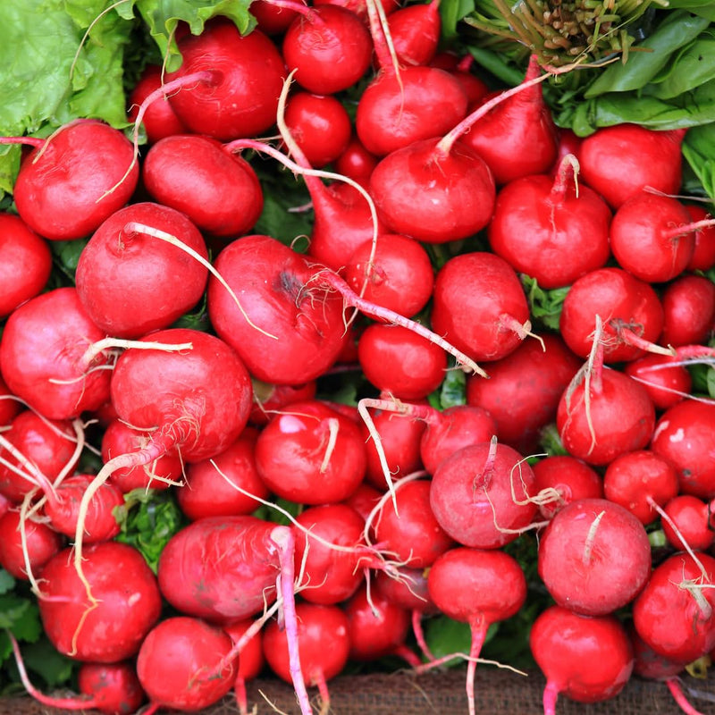 Semillas de nabo rojo para tu huerto