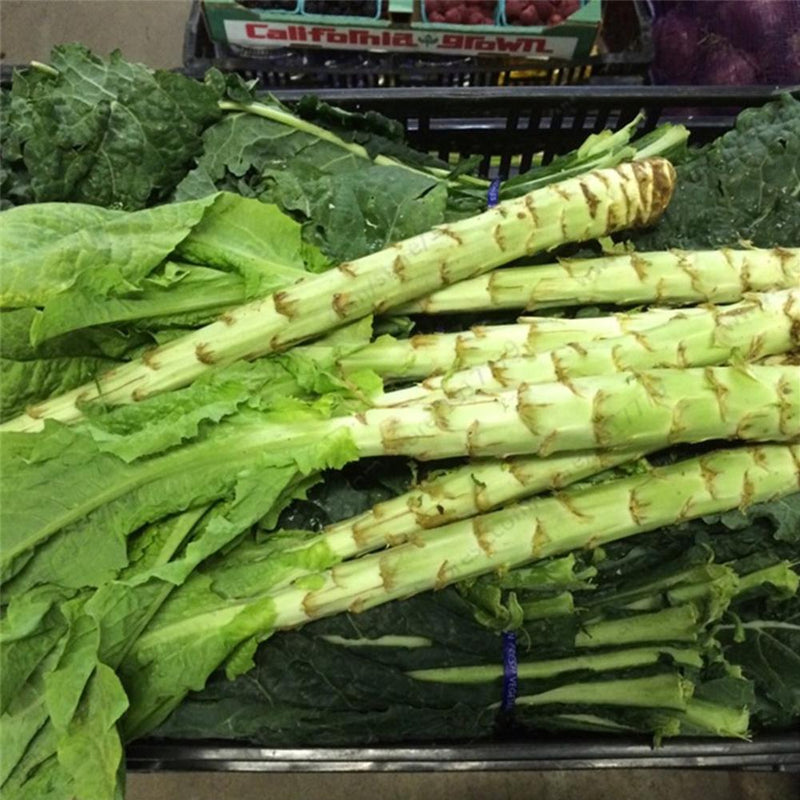 Asparagus lettuce samen non gmo für aussaat