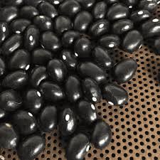 Graines de haricots noirs Turtle à planter — graines de légumes premium