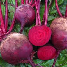 Graines de betterave rouge – parfaites à planter