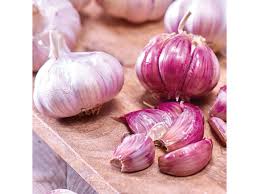 Semillas de ajo blanco para plantar: semillas de hortalizas premium