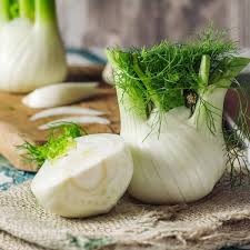 Semillas de hinojo blanco para plantar, variedad Florence