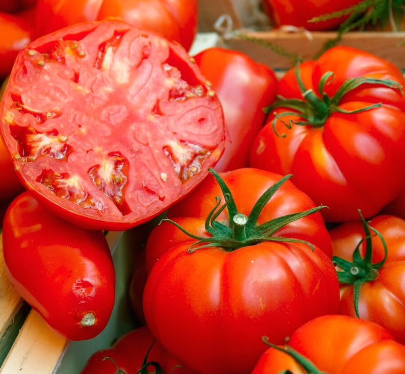 Zac tomato samen suitable für backyard gardening