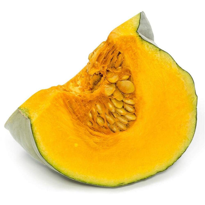 Zapallo plomo cucurbita maxima samen für aussaat