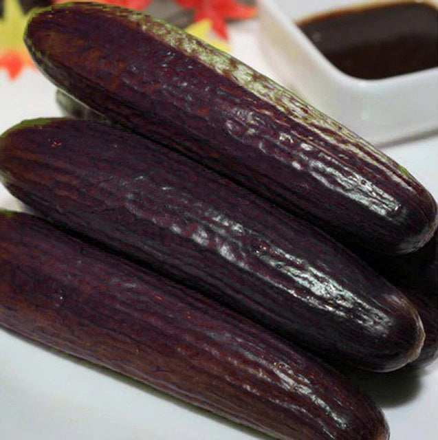 Schwarz Cucumber Gemüse Planting Samen  Perfect for Your Garden