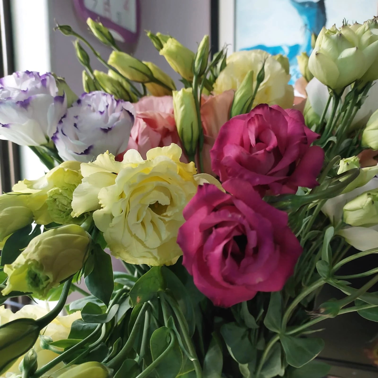 Gemischt Lisianthus Blumensamen zur Aussaat – Bestäuber freundlich – Traditionssorte & ohne Gentechnik Samen Hausgarten