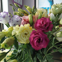 Gemischt Lisianthus Blumensamen zur Aussaat – Bestäuber freundlich – Traditionssorte & ohne Gentechnik Samen Hausgarten
