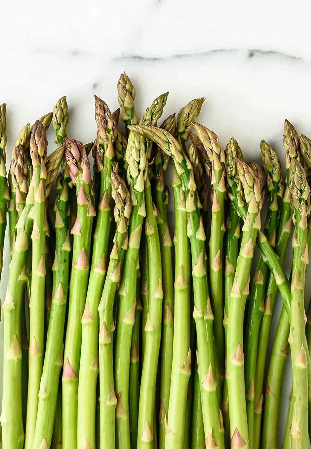 Green Wild Asparagus Samen zum Pflanzen