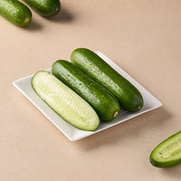 Green Calabazilla Gemüsesamen für einfache Aussaat