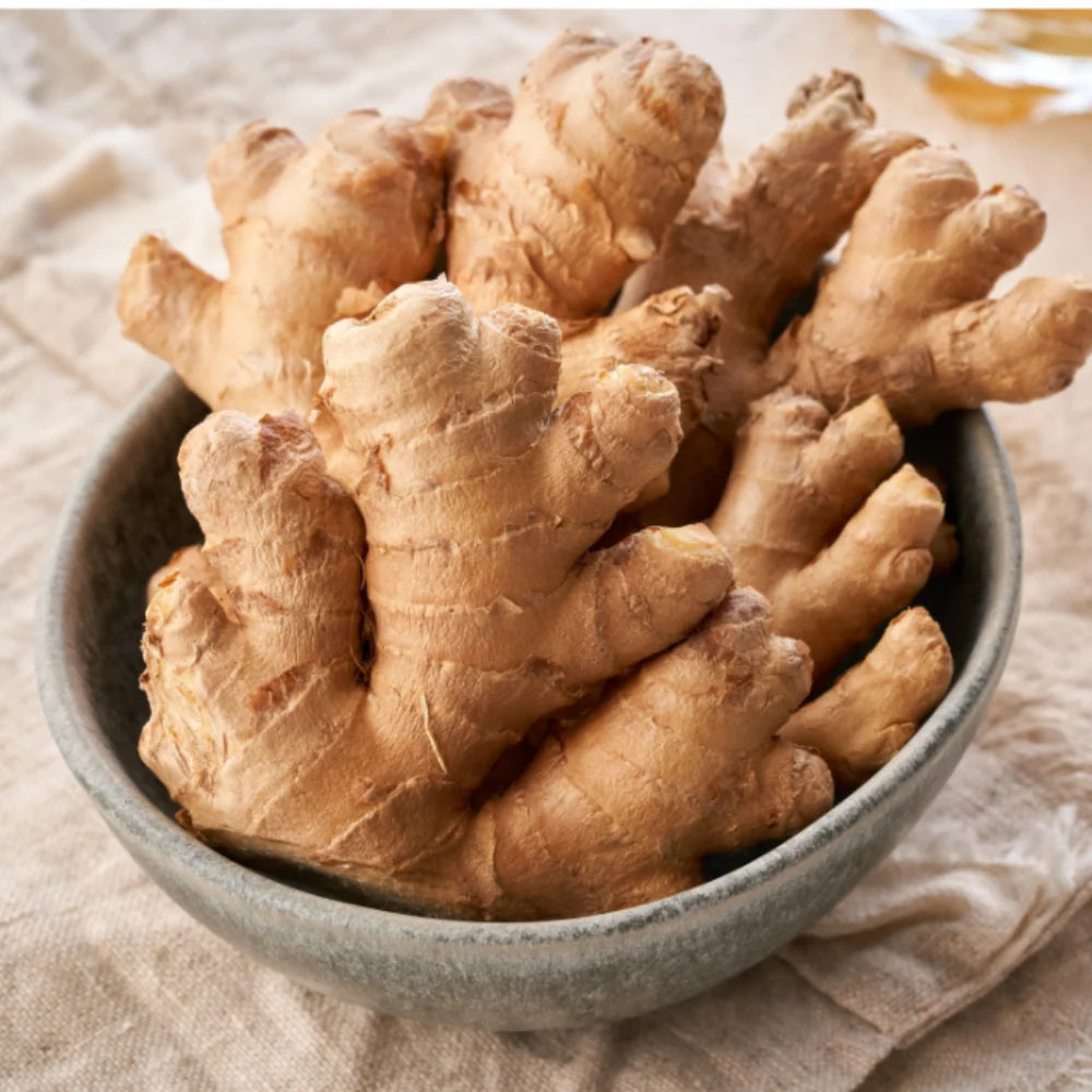 Braun Ginger Blumensamen zur Aussaat Garten beliebt Traditionssorte & ohne Gentechnik Samen Hausgarten