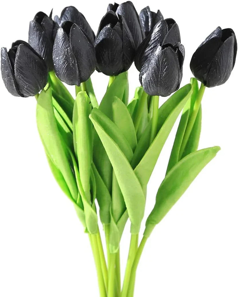 Schwarz (schwarz tulip) samen for anpflanzung in home garten