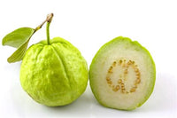 Guave Frucht Samen für Pflanzen und Gartenarbeit in Ihrem Zuhause