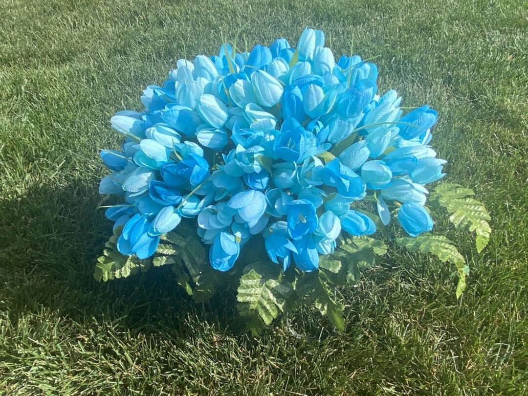 Himmelblau Tulpe Blumensamen Blumensamen zur Aussaat leuchtend Traditionssorte & ohne Gentechnik Samen Hausgarten