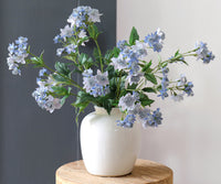 Blau Astrantia Blumensamen zur Aussaat – Bestäuber freundlich – Traditionssorte & ohne Gentechnik Samen Hausgarten