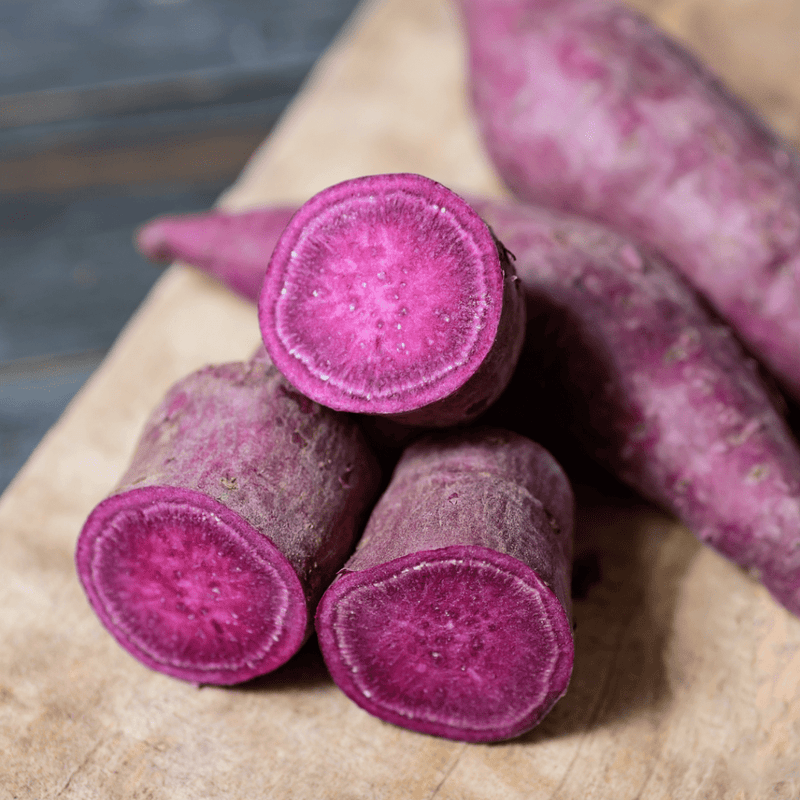 Dark violette süße potato samen für aussaat gemüse samen
