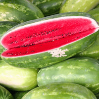 Sangria watermelon Samen für einfaches Anpflanzen