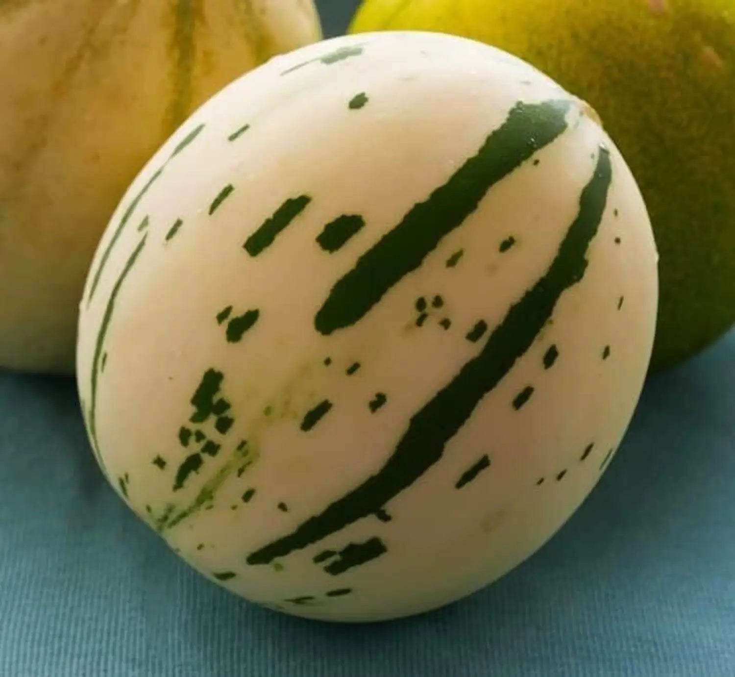 Weiß Leopard Melon Gemüse Samen zum Pflanzen - Seed for Unique and Flavorful Harvests in Your Garden
