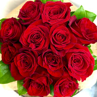 Kastanienrot Rose Samen zur Aussaat – Anzucht elegant ausdrucksstark Roses Garten