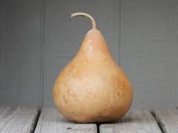 Kettle gourd samen für aussaat große fruits gemüse samen