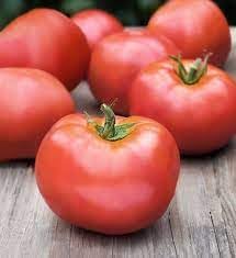 Flavorful atkinson tomato aussaat samen - gemüse gardening samen