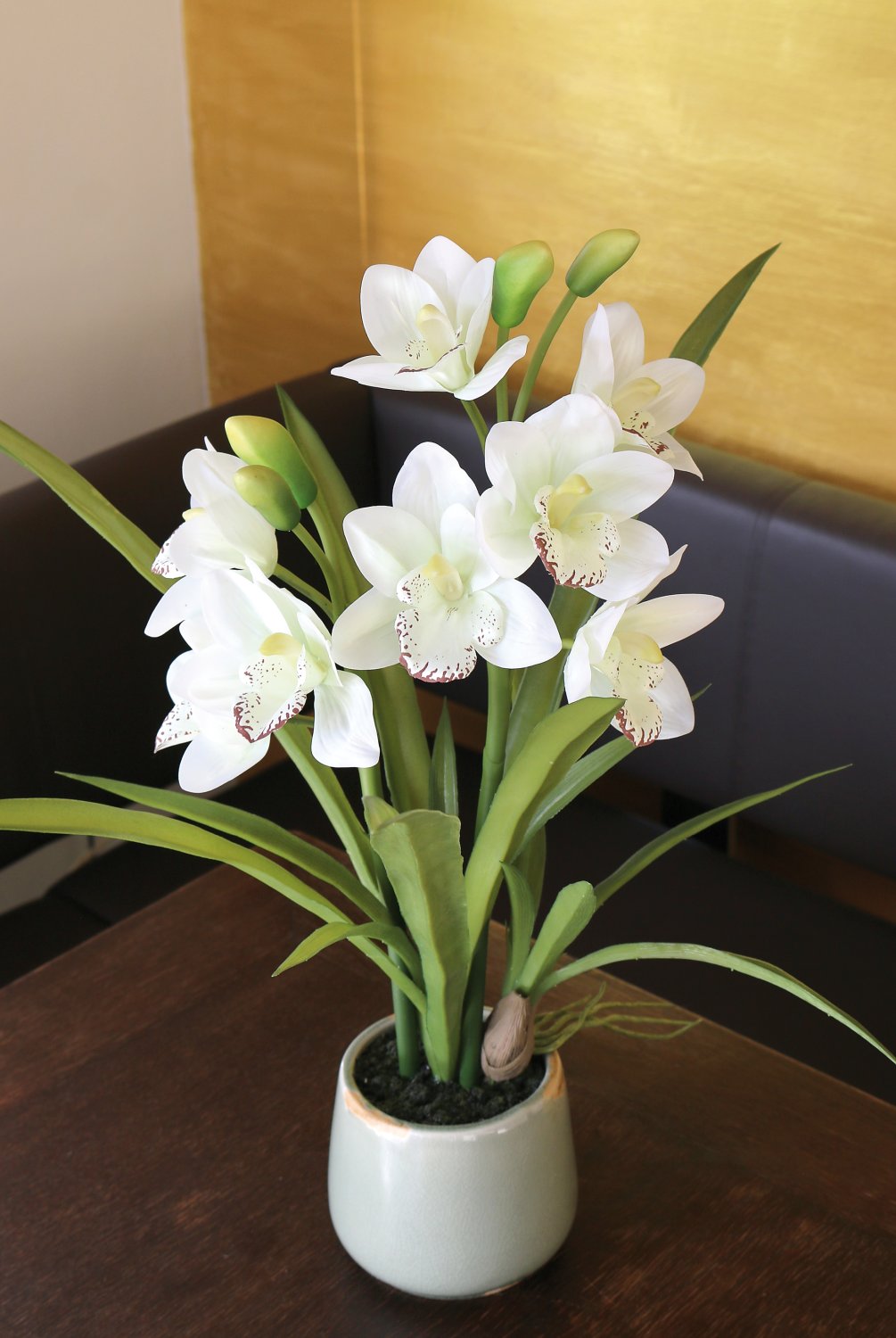 Weiß Cymbidium Orchidee Blumensamen zur Aussaat hochwertige Qualitäts- Traditionssorte & ohne Gentechnik Samen Hausgarten