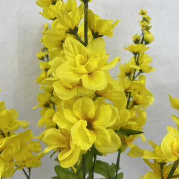 Gelb Delphinium Blumensamen zur Aussaat – leuchtend mehrjährige Blüten