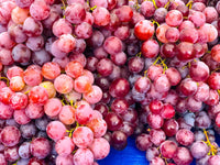Vitis vinifera Rot Samen für einfaches Anpflanzen