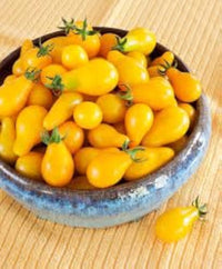 Gelb Pear Tomate Samen Solanum lycopersicum zum Pflanzen in Urban Garden and Raised Beds
