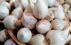 Anpflanzung clove garlic samen for flavorful spice blume