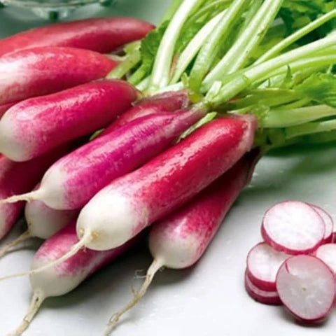 Pink Radish Planting Samen for Gemüse Gardens