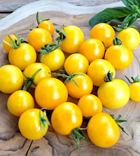 Groß Gelb Tomate Samen for für den Hausgarten