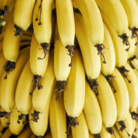 Galb Banane Samen für einfaches Anpflanzen
