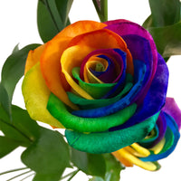 Gemischt Rose Blumensamen zur Aussaat – Create leuchtend und Captivating Floral Schauanlagen