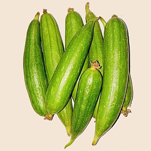 Semi di zucca serpente per il giardinaggio domestico