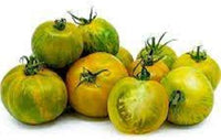 Grüne zebra tomato solanum lycopersicum für aussaat in urban garten