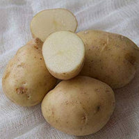 Braun Potato Gemüsesamen für einfache Aussaat