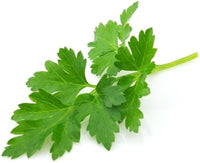 Parsley Petroselinum crispum Samen zur Aussaat Herb Garten