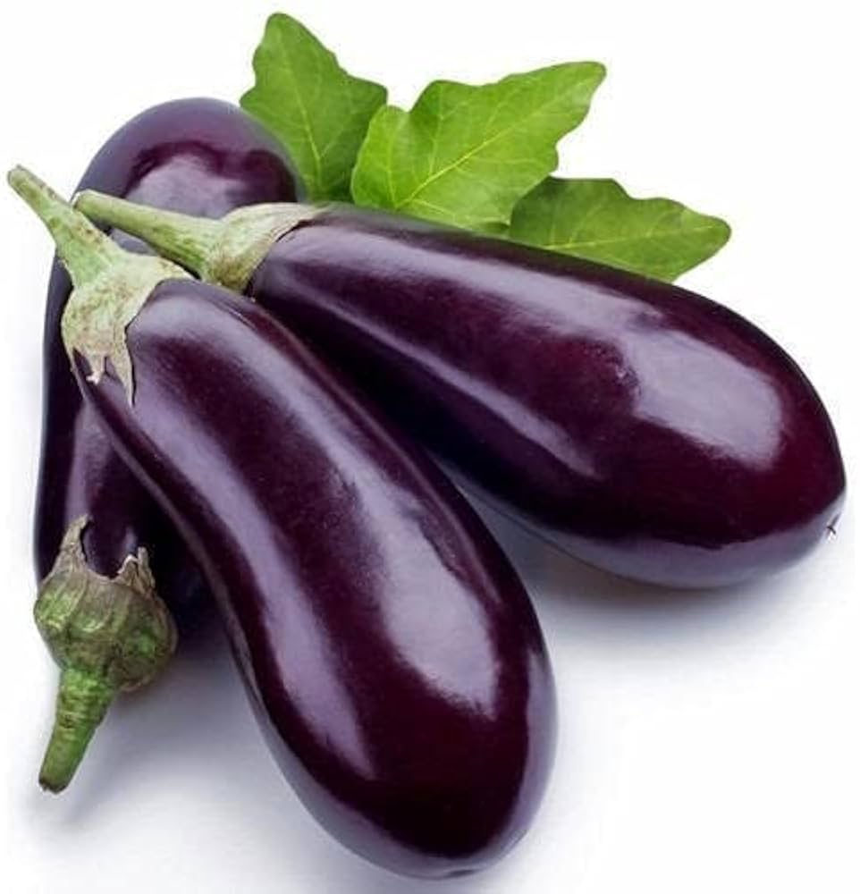 Millionaire Lila Eggplant Samen zum Pflanzen  Grow Delicious Eggplants in Your Garden