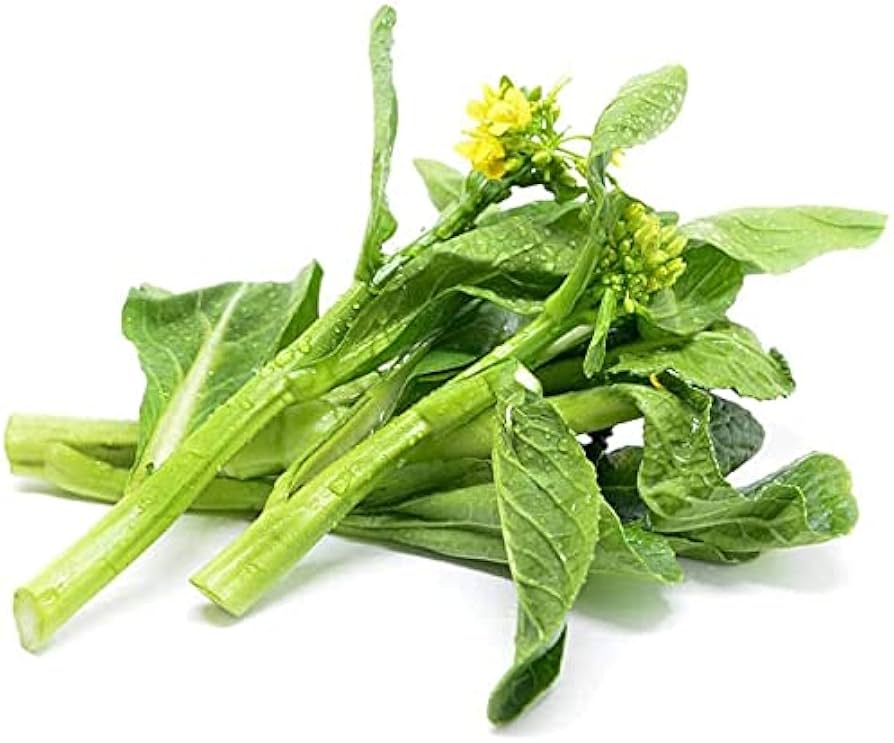 Green Choy Sum Gemüsesamen für einfache Aussaat