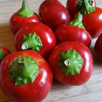 Pimento Capsicum annuum Samen zum Pflanzen in Kitchen Garden and Gemüse Patch