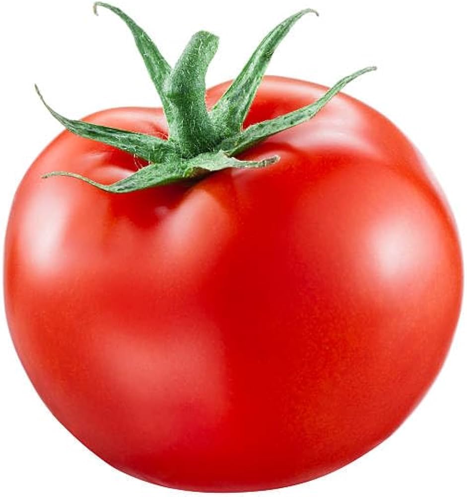 Traditionell Tomate Homestead Samen zum Pflanzen - Great for Gemüse Patch & Garden