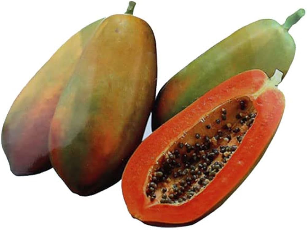 Papaya Samen zur Aussaat tropisch