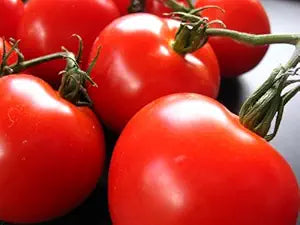 Creole Tomate Solanum lycopersicum Samen zum Pflanzen in Gemüse Patch & Home Garden