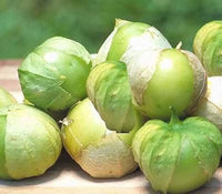 Tomatillo Toma Verde Tomate Samen for Tangy, Green Tomatees