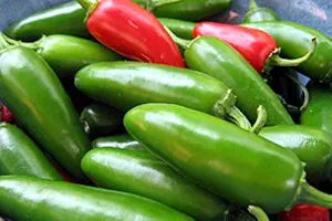 Jalapeno m pepper samen für fresh, spicy peppers